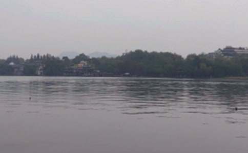 �������L������