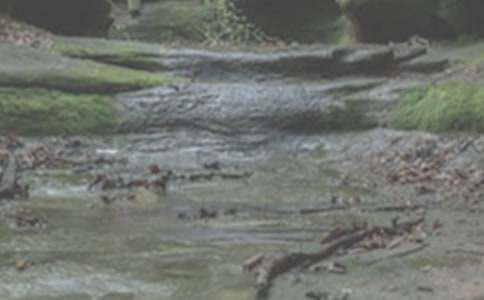 ��ࡶСϪ�����̰�