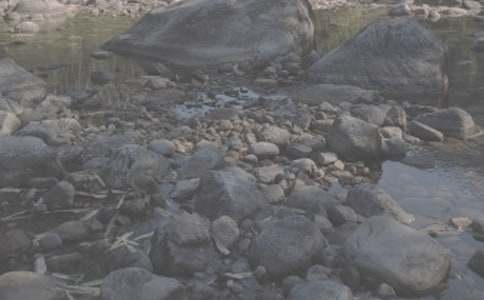 �Zƽ����Ϫ�������p��