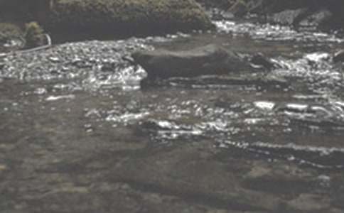 ��������Ϫ�����ģ�ͨ��22ƪ��