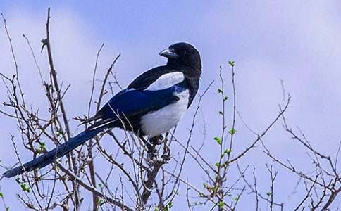 ϲ�oͯԒ���ąR����ƪ