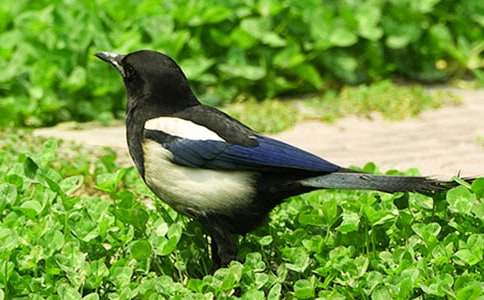 ϲ�oͯԒ����400����ƪ