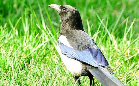 �P��ϲ�oͯԒ���ąR��8ƪ