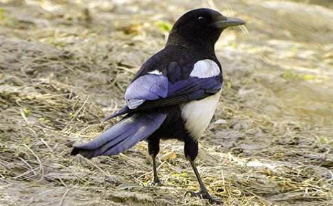 ���]�^�X����ϲ�oͯԒ����