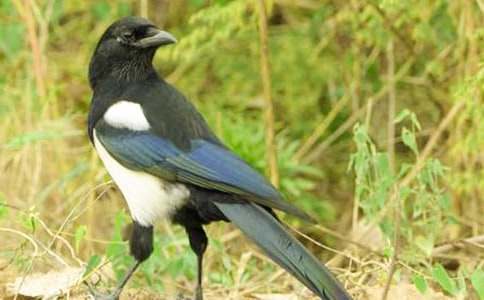 ���꼉ͯԒ���Ļ�ϲ�o