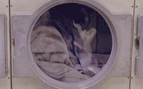 �͋���ϴ�·����ķ���