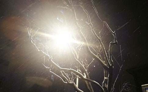 ������ѩ���~�Z(y��)