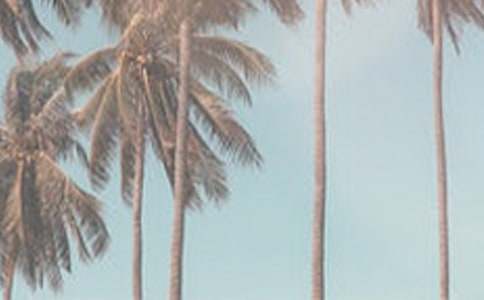 �P���ļ����L����3ƪ