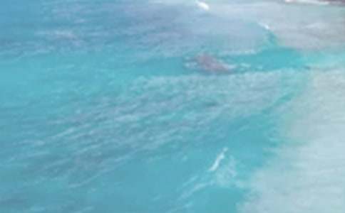 ��������L(f��ng)����(�ϼ�2ƪ)