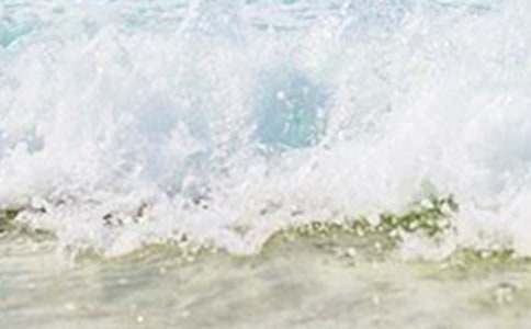 �����x��������L(f��ng)����32ƪ