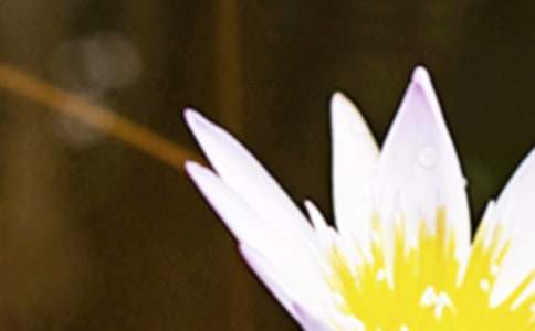 �ҕ������δ�����}���������~