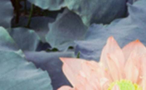 ɽ���ʳ���׷��ģ������Է���