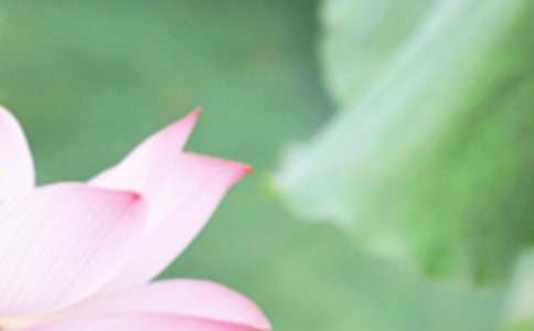  ������δ����Ƭβ���ĸ��~