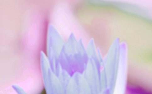 ������δ�������}���ĸ��~