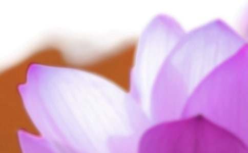 ��Ϧ�ă�(y��u)��ɢ�ģ�������Ϧ��ͨ��19ƪ��