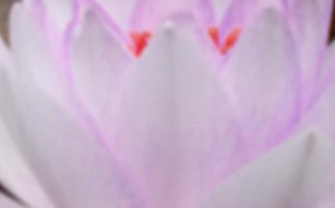 夏至高中作文700字(通用22篇)