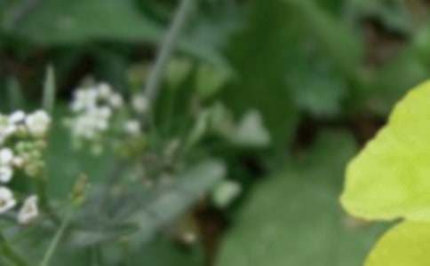 ����δ��500�����ģ����x27ƪ��