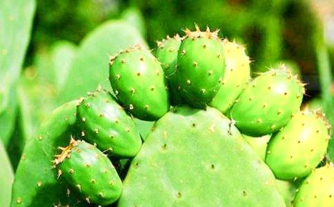 ���P�����Ƶ�����400�֣�ͨ��21ƪ��