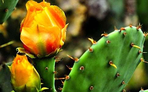 �Ґ�������С�W����350��