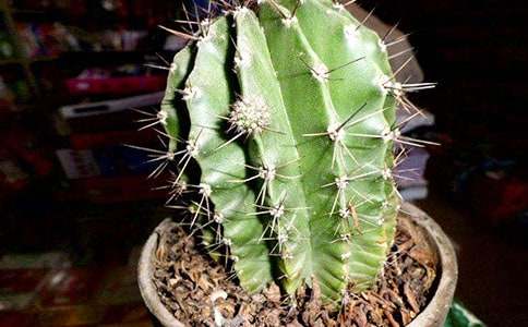 �o���������l(f��)����