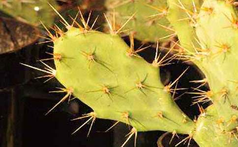 �辰��������������ģ�ͨ��22ƪ��