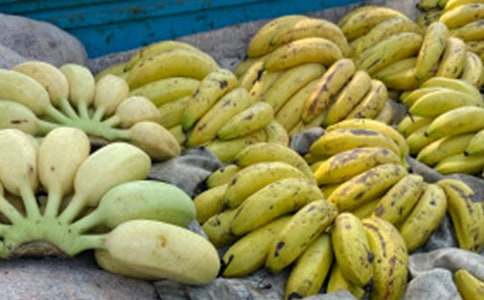 �㽶��ͯԒ����3ƪ