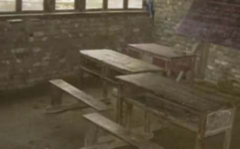 美麗的鄉(xiāng)村小學作文