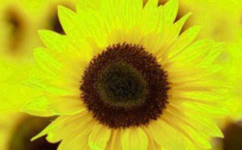 �^�����տ����ģ�ͨ��34ƪ��