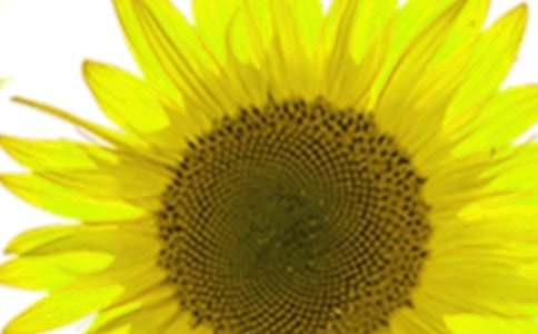 �D�y΢Ц�����տ�����