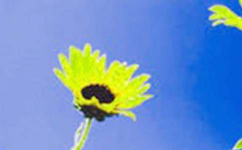 �^�����տ�������