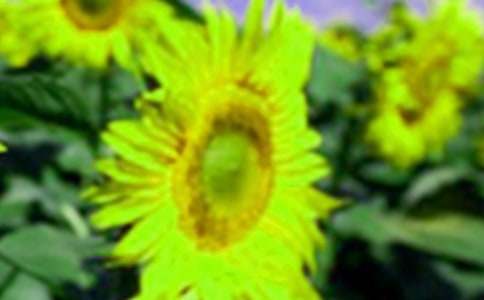 С�W(xu��)�����ģ����տ����＾�(y��ng)��