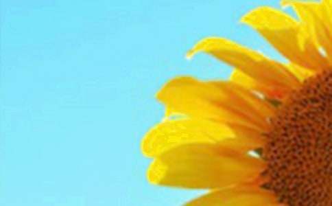 �^�����տ��������꼉����ͨ��