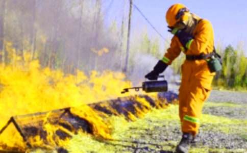 ������ȫ����������1000��