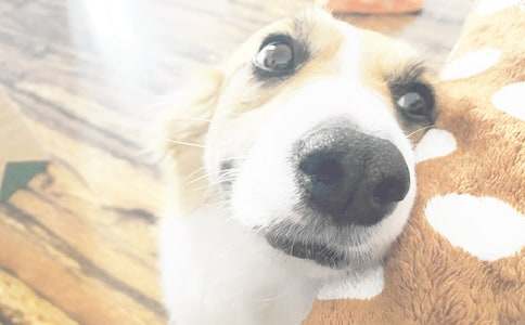 ��ϲ�g��С������10ƪ