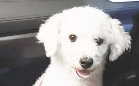 ���P(gu��n)С��ͯԒ����300��4ƪ