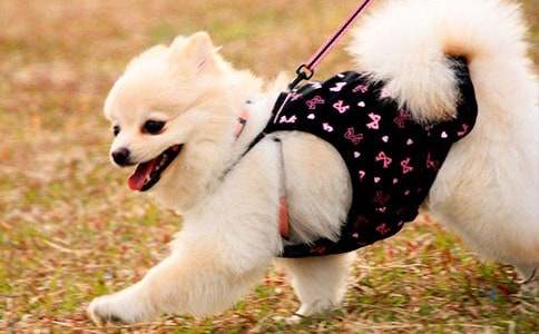 С؈С��������ͯԒ����