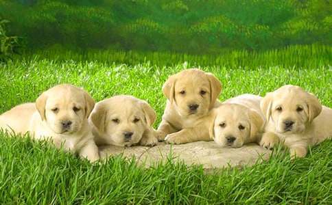 С��ѽ����