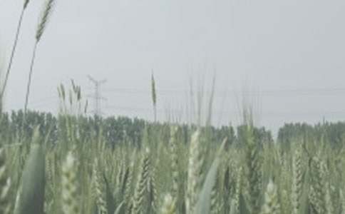 С�����ĵ��w��(hu��)��ͨ��11ƪ��