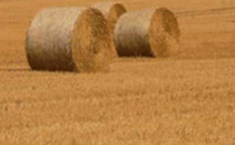 ���ƌW(xu��)�̰����J(r��n)�R(sh��)С����