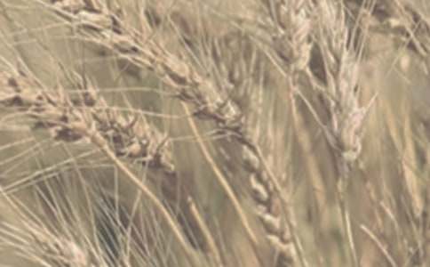 С����ӛ���ЌW(xu��)���ķ���