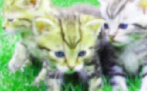 ���P(gu��n)С؈С�W(xu��)���ąR��9ƪ