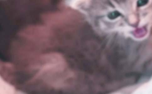 С؈��С�~-ͯԒ����