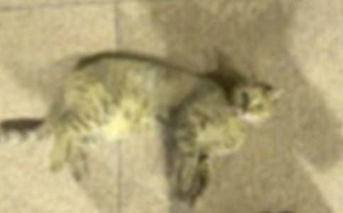 С؈��������400��5ƪ