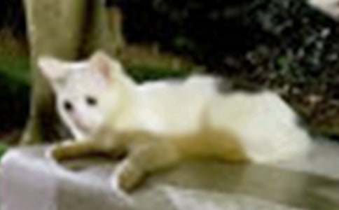 �^��С؈������