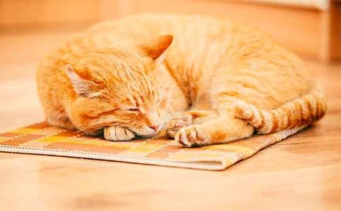 С؈��С�W����