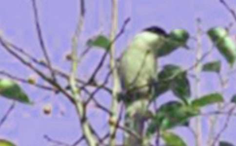 С�B��С��������