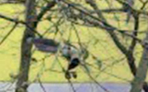 �W(xu��)������ �F�е�С�B(ni��o)