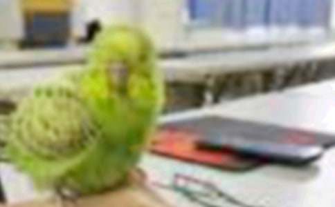 �����]��С�B��ͯԒ����20ƪ