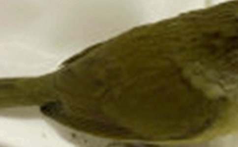 �����]��С�B��ͯԒ������ƪ