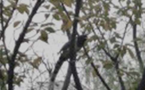 ���õ�С�B��ͯԒ������ƪ